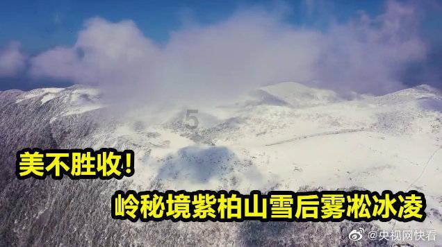 荒野行动Plus