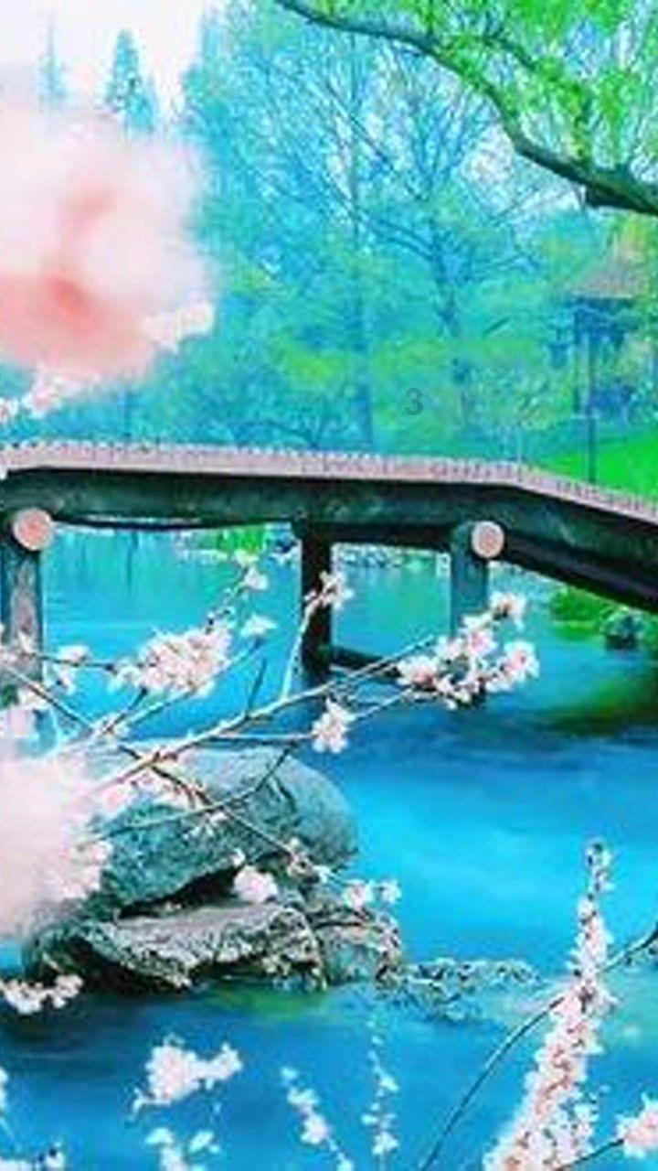 逃离整洁房屋